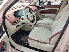 ORA Good Cat 401km Standard Range Luxury LFP - ფოტო 14