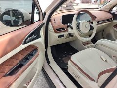 ORA Good Cat 401km Standard Range Luxury LFP - ფოტო 15