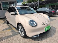 ORA Good Cat 401km Standard Range Luxury LFP - ფოტო 3