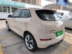 ORA Good Cat 401km Standard Range Luxury LFP - ფოტო 4