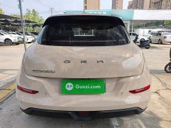 ORA Good Cat 401km Standard Range Luxury LFP - ფოტო 5