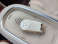 ORA Good Cat 401km Standard Range Luxury LFP - ფოტო 8