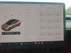 Tesla Model 3 Standard Range RWD Upgrade - ფოტო 11