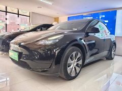 Tesla Model Y Rear-Wheel Drive - ფოტო 1