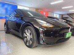 Tesla Model Y Rear-Wheel Drive - ფოტო 3