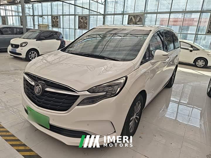 Buick GL8 ES Land Respect 653T Respect Enjoyment Edition