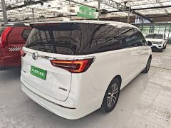 Buick GL8 ES Land Respect 653T Respect Enjoyment Edition - ფოტო 6
