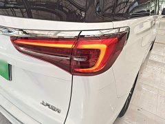 Buick GL8 ES Land Respect 653T Respect Enjoyment Edition - ფოტო 7