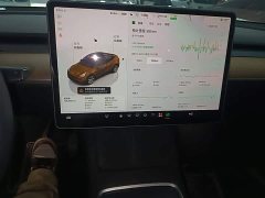 Tesla Model Y Rear-Wheel Drive - ფოტო 12