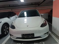 Tesla Model Y Rear-Wheel Drive - ფოტო 2