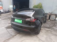 Tesla Model Y Rear-Wheel Drive - ფოტო 6