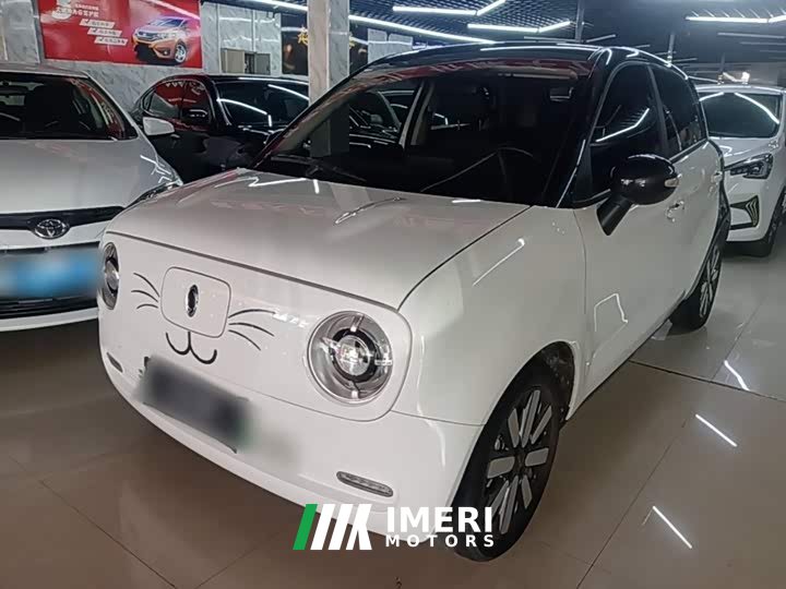Ora 351km Edition - ავტომობილი ჩინეთიდან