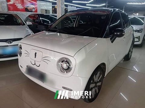 2021 Ora 351km Edition - ავტომობილი ჩინეთიდან