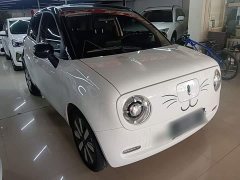 Ora 351km Edition - ფოტო 3