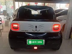 Ora 351km Edition - ფოტო 5