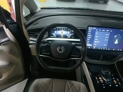 Denza BYD Denza D9 DM-i 970 Luxury - ფოტო 10