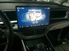 Denza BYD Denza D9 DM-i 970 Luxury - ფოტო 12