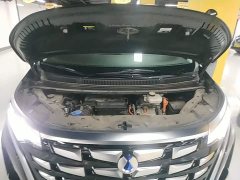 Denza BYD Denza D9 DM-i 970 Luxury - ფოტო 19