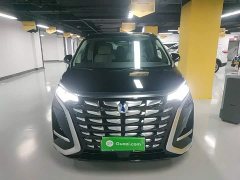 Denza BYD Denza D9 DM-i 970 Luxury - ფოტო 2