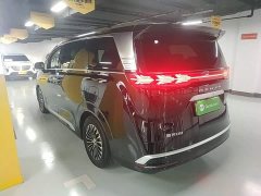 Denza BYD Denza D9 DM-i 970 Luxury - ფოტო 4