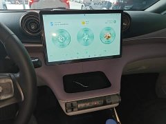 BYD Dolphin 405km Freedom Edition - ფოტო 12