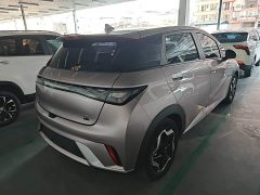 BYD Dolphin 405km Freedom Edition - ფოტო 6