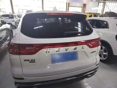 Haval M6 PLUS 1.5T DCT Elite Smart Connected Edition - ფოტო 5