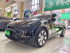 Tesla Model Y Long Range All-Wheel Drive 3D7 - ფოტო 1