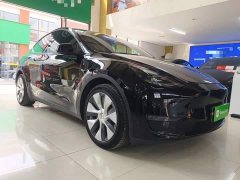 Tesla Model Y Long Range All-Wheel Drive 3D7 - ფოტო 3