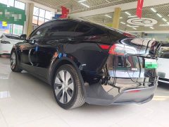 Tesla Model Y Long Range All-Wheel Drive 3D7 - ფოტო 4