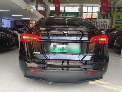 Tesla Model Y Long Range All-Wheel Drive 3D7 - ფოტო 5