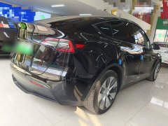 Tesla Model Y Long Range All-Wheel Drive 3D7 - ფოტო 6