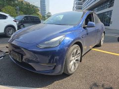 Tesla Model Y Long Range All-Wheel Drive - ფოტო 1