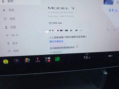 Tesla Model Y Long Range All-Wheel Drive - ფოტო 11