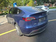 Tesla Model Y Long Range All-Wheel Drive - ფოტო 4
