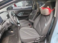 Chery eQ1 Pro 301km Mythical Beast Edition Lithium iron phosphate - ფოტო 7