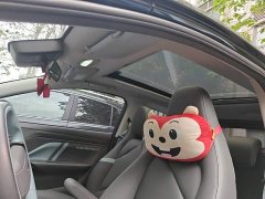 Chery eQ1 Pro 301km Mythical Beast Edition Lithium iron phosphate - ფოტო 8