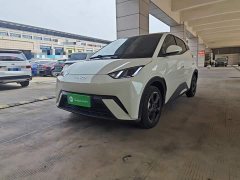BYD Seagull Glory Edition 305km Freedom Version - ფოტო 1