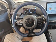 BYD Seagull Glory Edition 305km Freedom Version - ფოტო 10