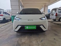 BYD Seagull Glory Edition 305km Freedom Version - ფოტო 2