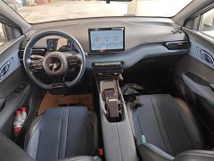 BYD Seagull Glory Edition 305km Freedom Version - ფოტო 9