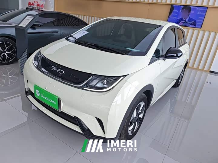 BYD Dolphin 420km Freedom Edition - ავტომობილი ჩინეთიდან