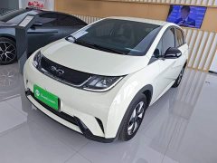 BYD Dolphin 420km Freedom Edition - ფოტო 1