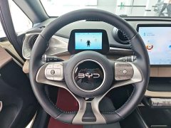 BYD Dolphin 420km Freedom Edition - ფოტო 10