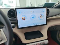 BYD Dolphin 420km Freedom Edition - ფოტო 12