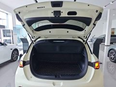 BYD Dolphin 420km Freedom Edition - ფოტო 18