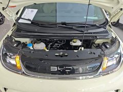 BYD Dolphin 420km Freedom Edition - ფოტო 19