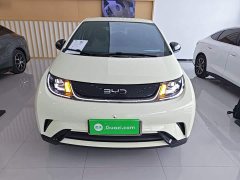 BYD Dolphin 420km Freedom Edition - ფოტო 2