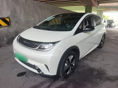 BYD Dolphin 420km Freedom Edition - ფოტო 1