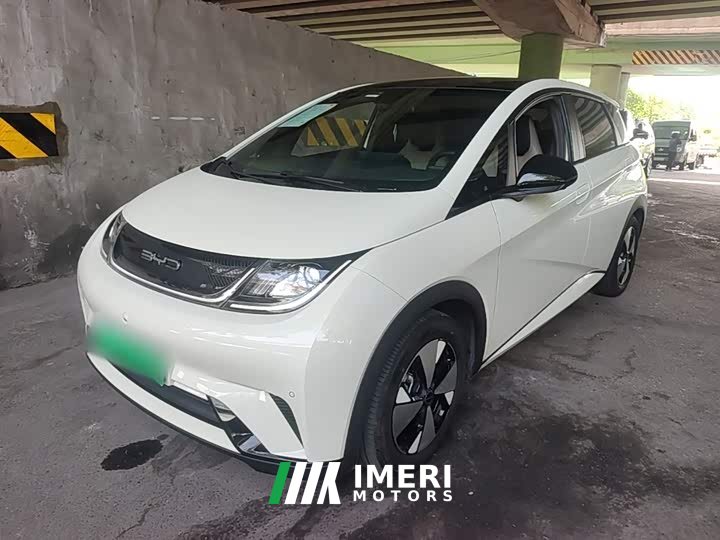 BYD Dolphin 420km Freedom Edition